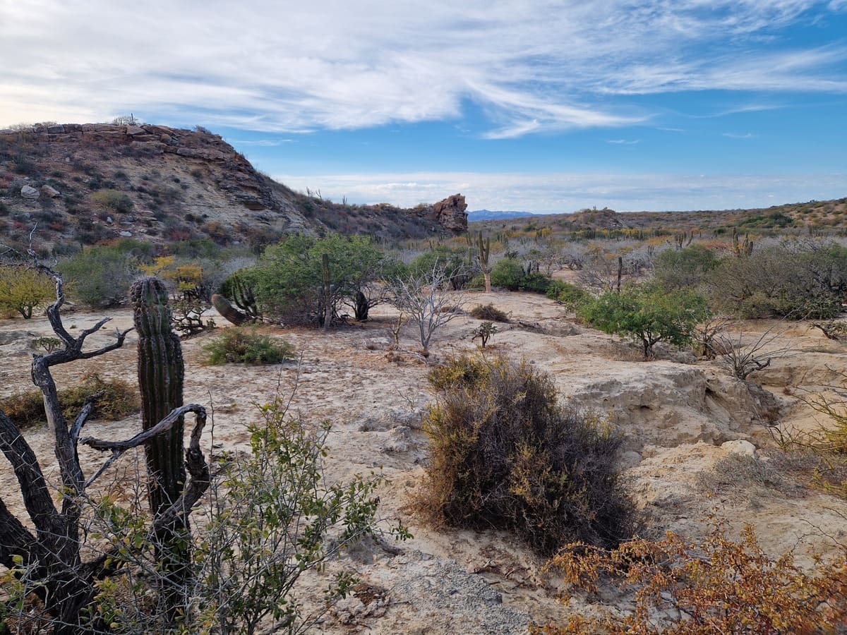 Landschaft des Flat Mountain