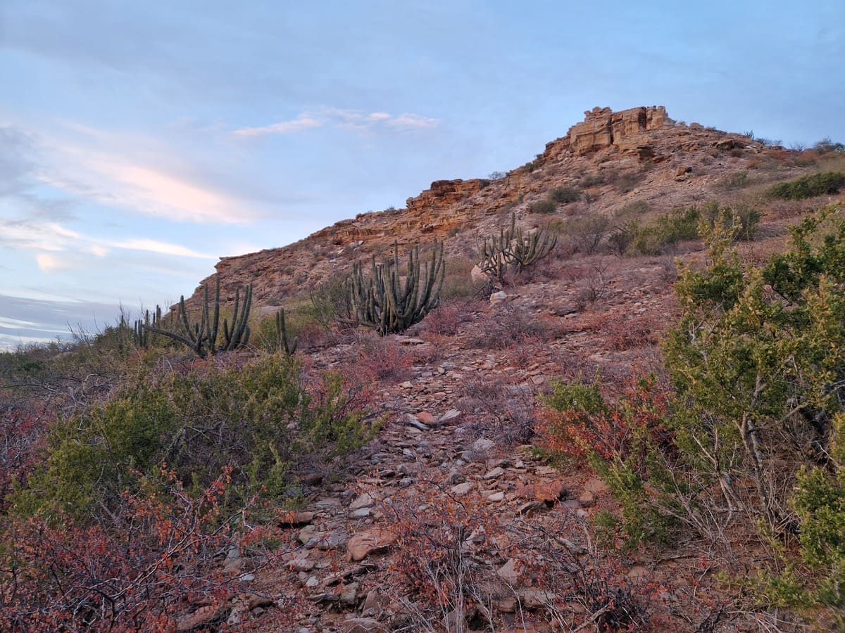 Landschaft in Baja California Sur