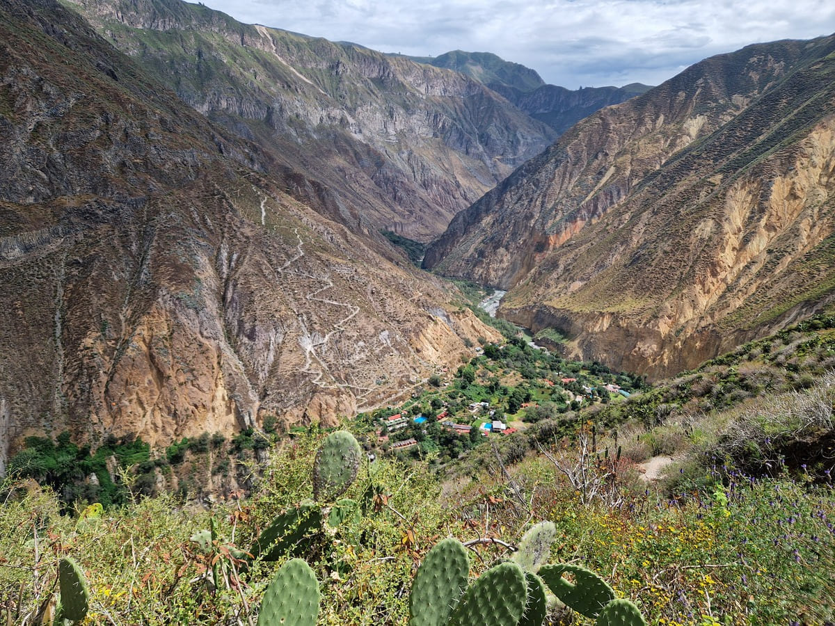 Aussicht auf die Oase Sangalle im Colca Canyon