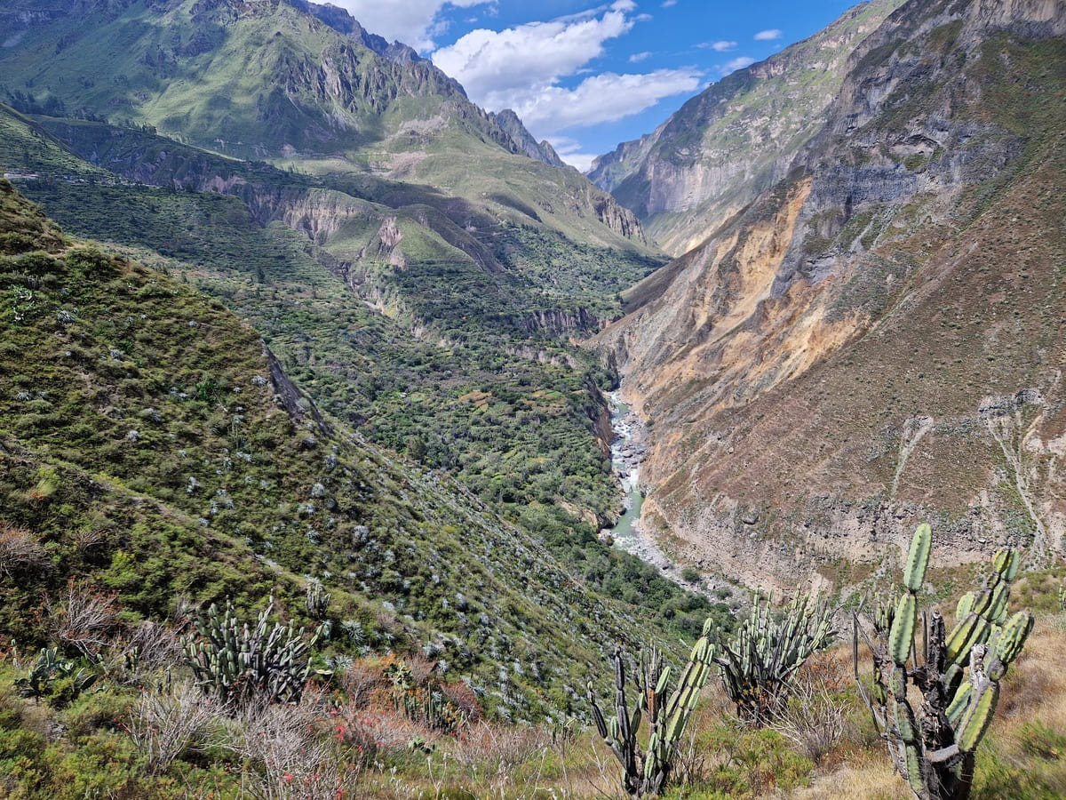 Colca Canyon in Peru
