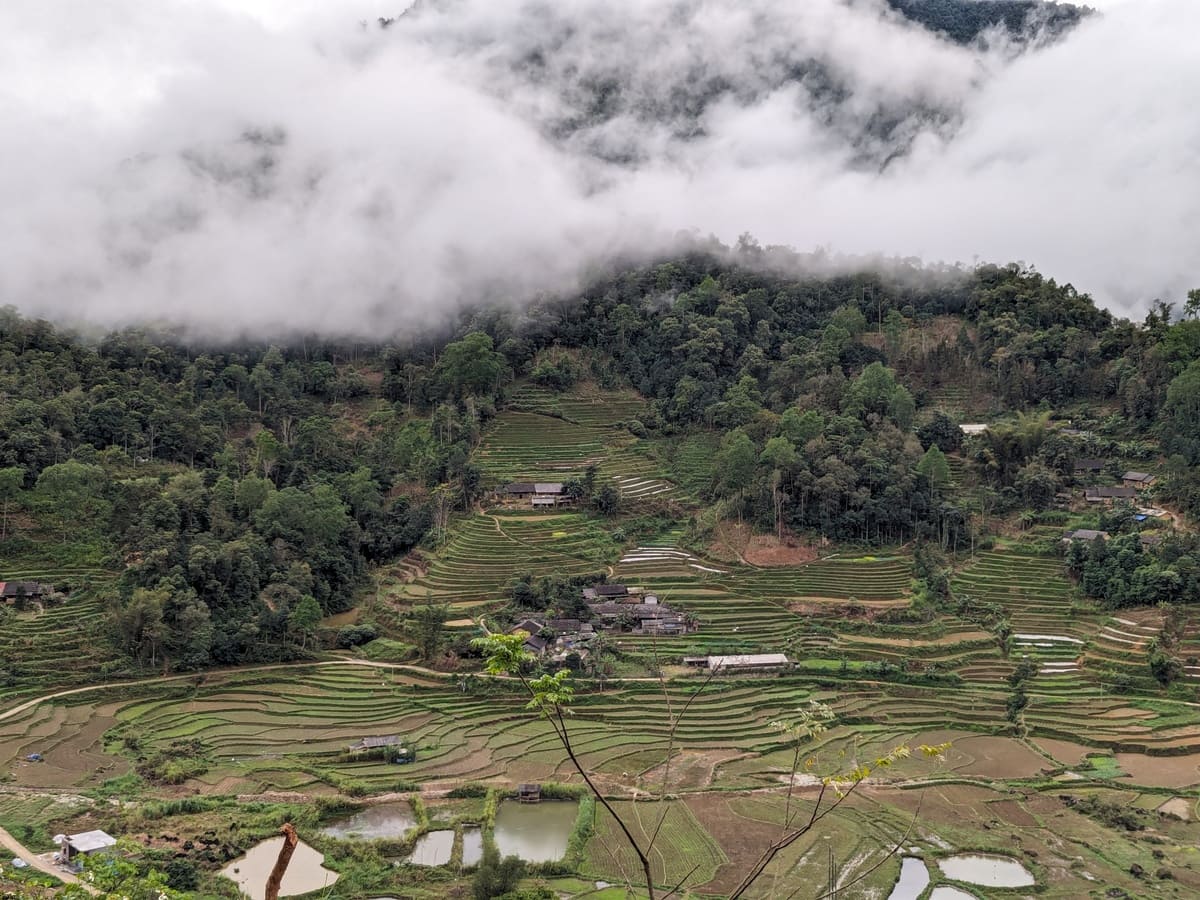 Ha Giang Loop Vietnam Reisterrassen