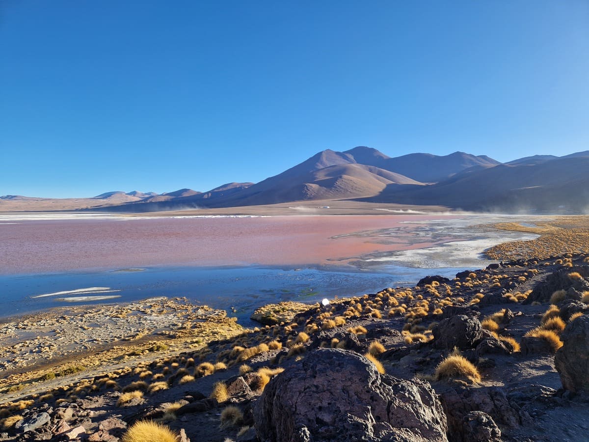 Pinke Lagune Colorada