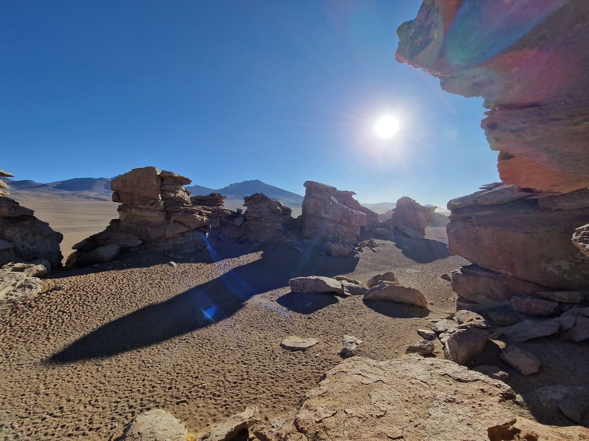 Rock Tree Bolivien