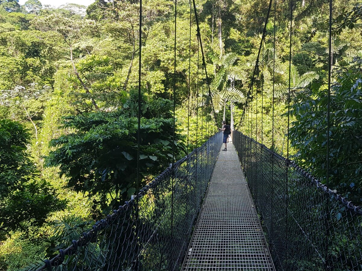 Hängebrücke in La Fortuna