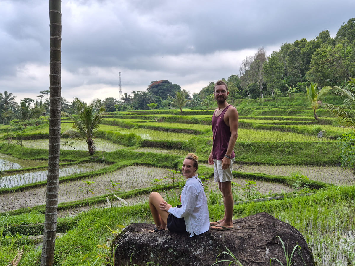 Reisterrassen von Tetebatu