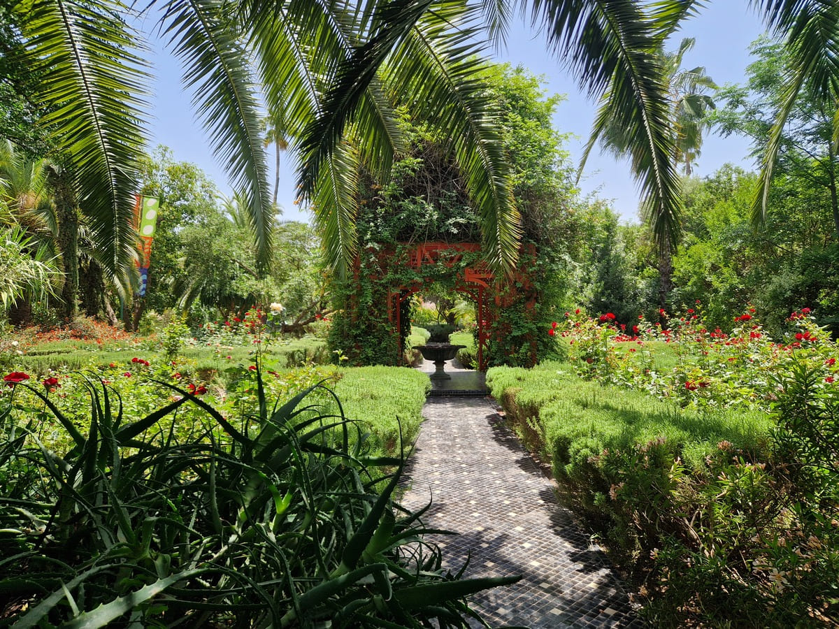 Rosengarten Marokko