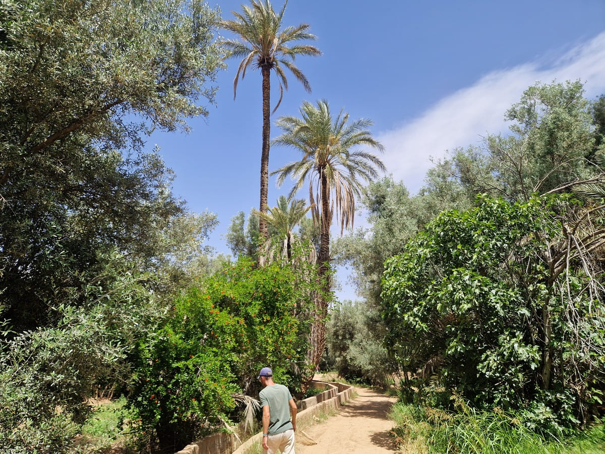 Spaziergang durch die Oase
