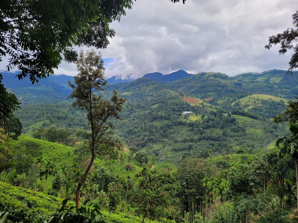 Aussicht auf das Knuckles Forest Reserve in Kandy