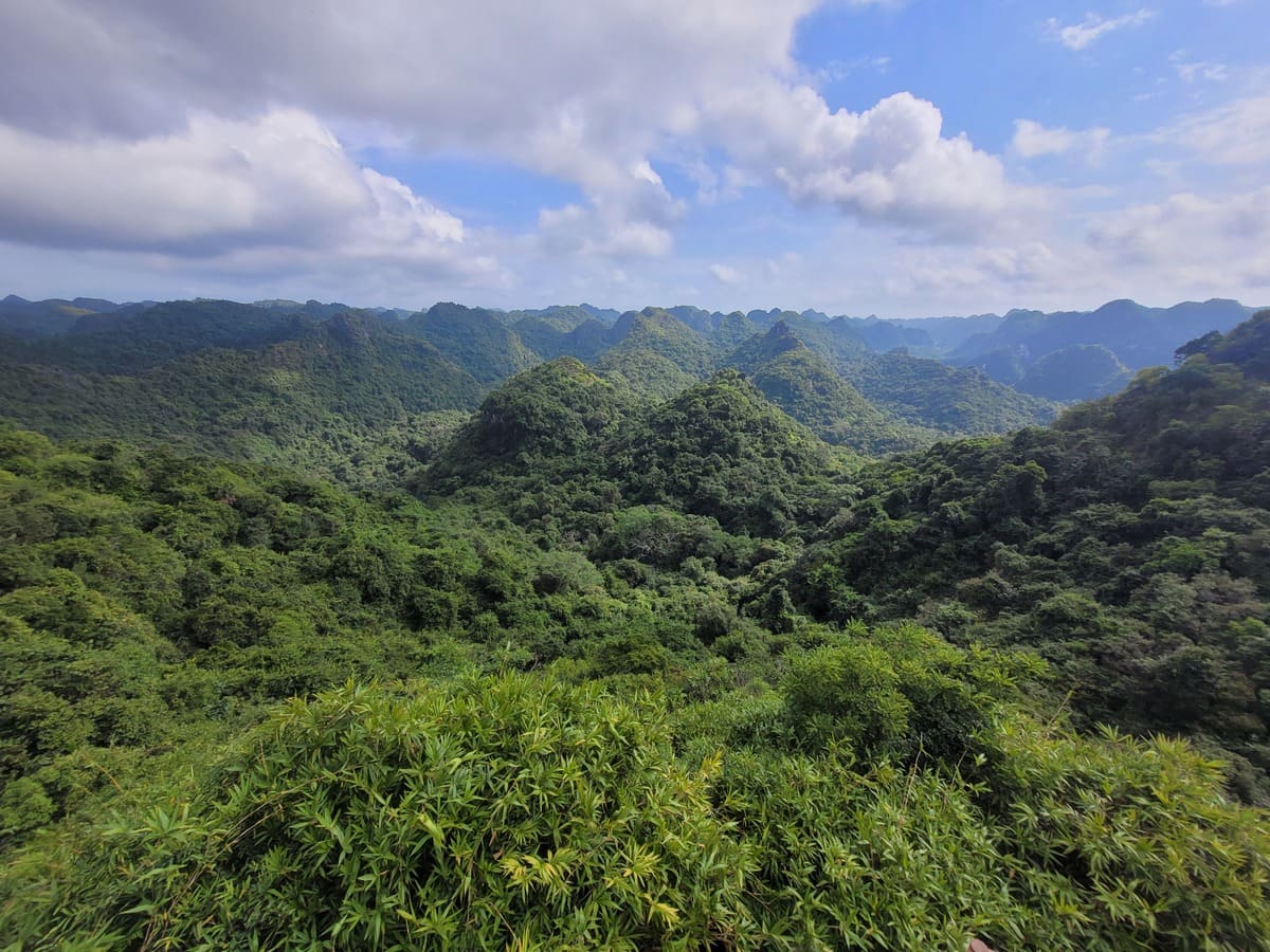 Aussicht vom View Point in Cat Ba