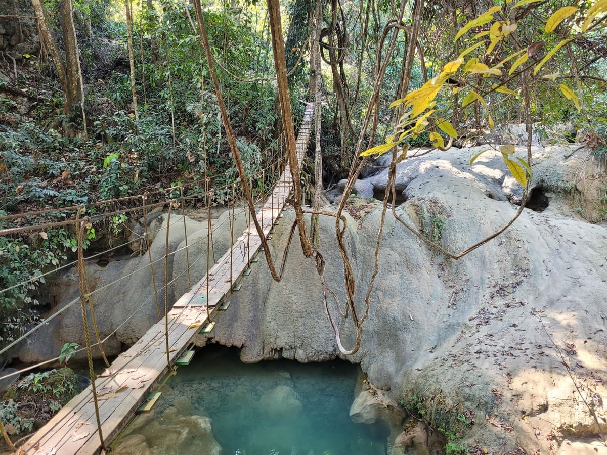 Hängebrücke im Dschungel