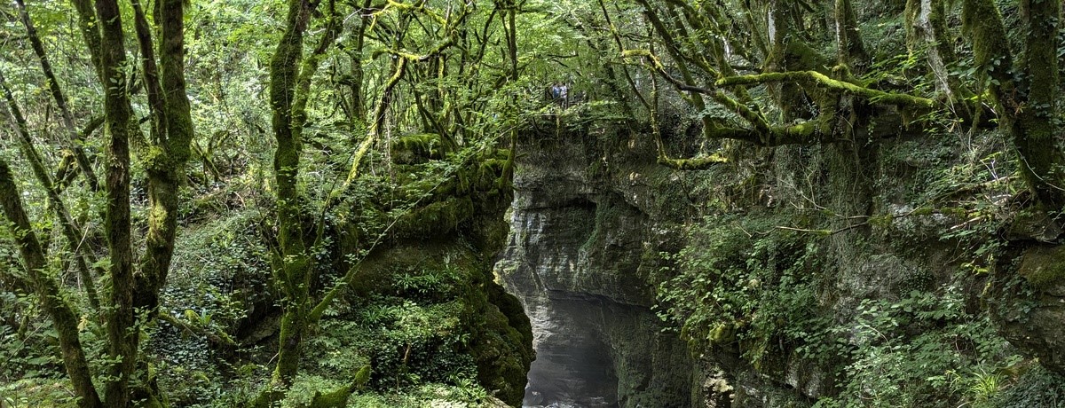 Der Martvili Canyon - Georgien