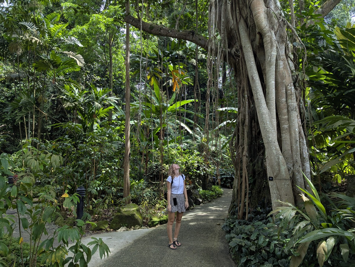 Pflanzenwelt im Botanischen Garten