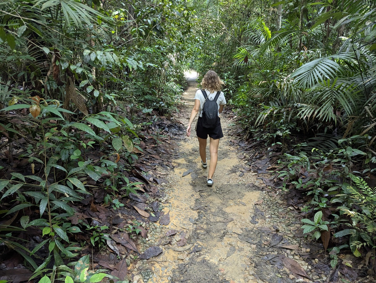 Wanderung durch den Windsor Nature Park