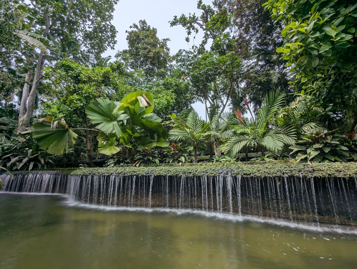 Wasserfall im Botanischen Garten