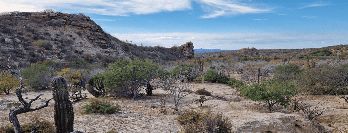 Beeindruckende Landschaften in Baja California Sur