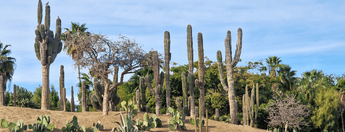 Tipps für euren Mexiko Urlaub