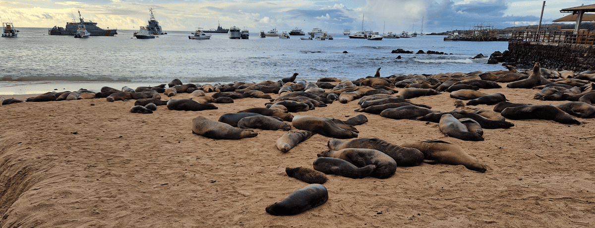 Reise auf die Galapagos Inseln