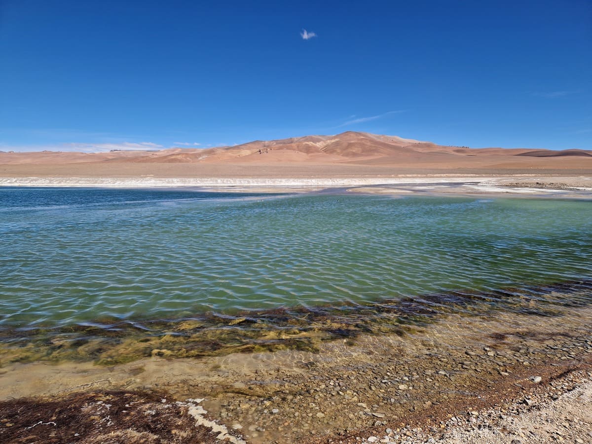 Lagune in der Wüste Atacama