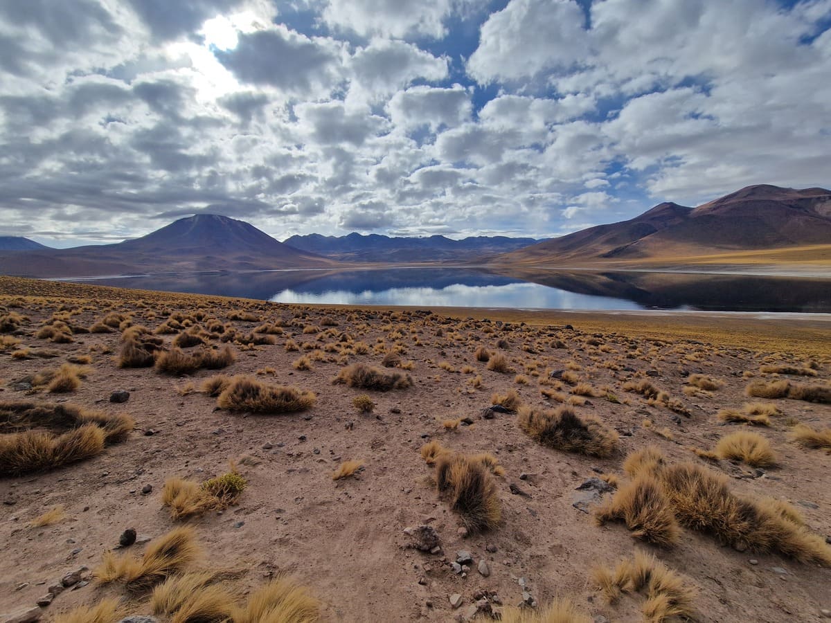Lagunen in der Atacama Wüste