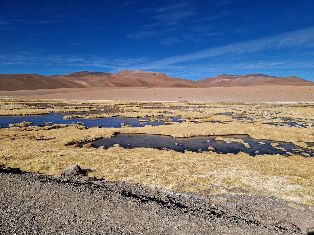 Landschaft während der Tour durch die Atacama Wüste