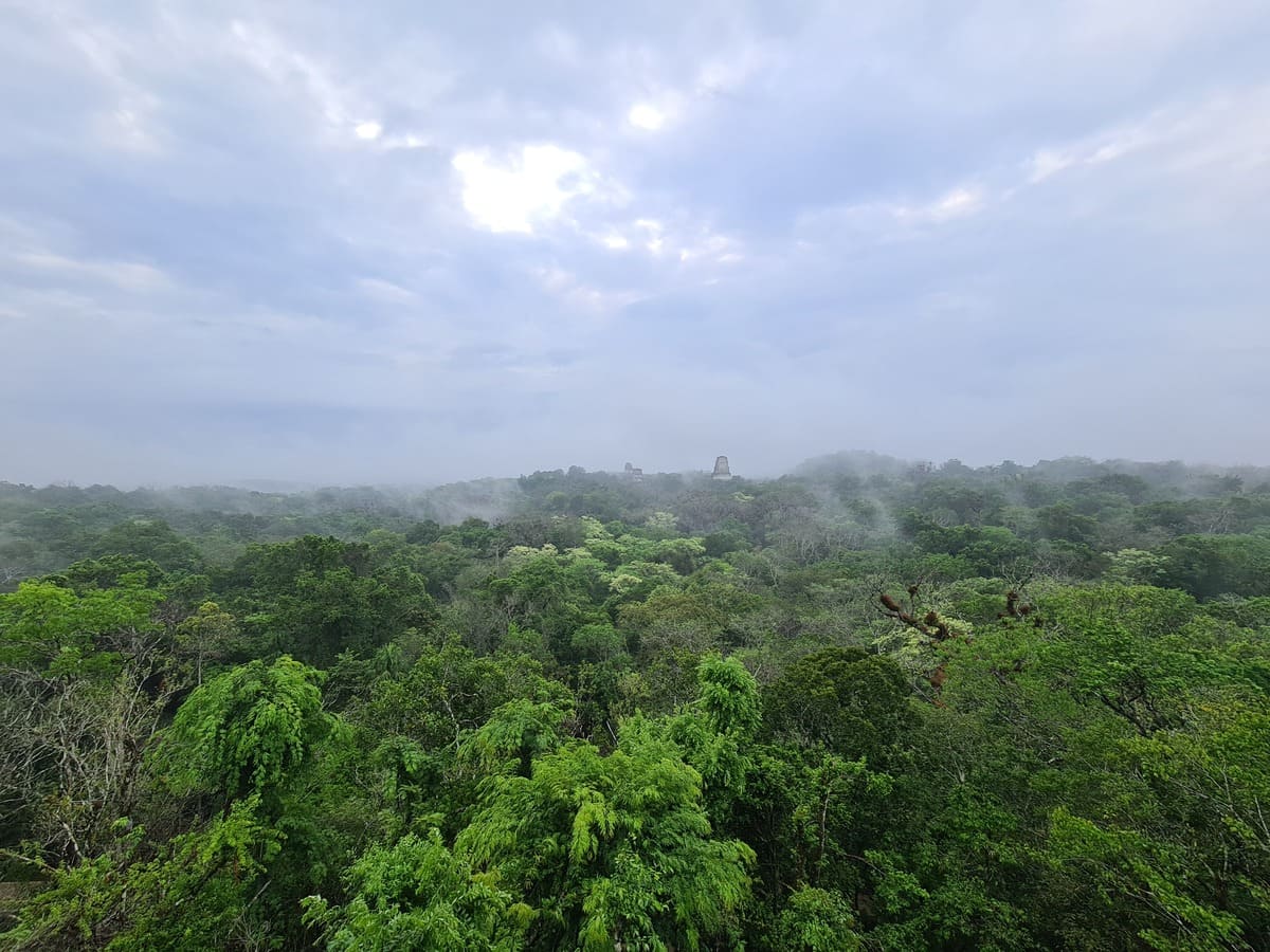 Mystische Maya Ruinen Tikal